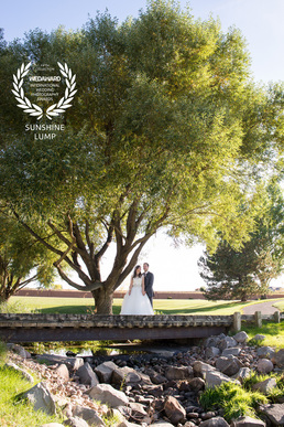 Award Winning Wedding Photographer - Colorado 