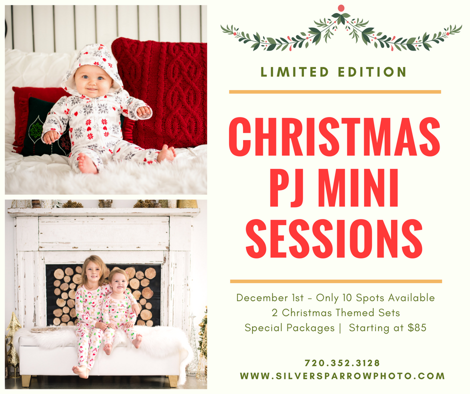 Christmas Mini Sessions - Denver Family Photographer