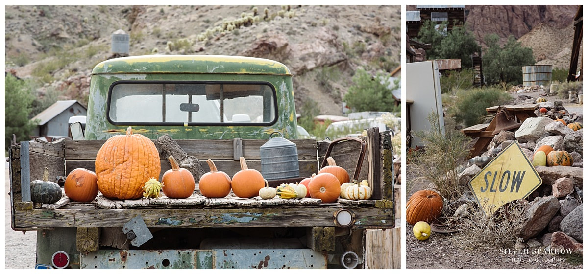Old Truck - Pumpkins - Silver Sparrow Photography