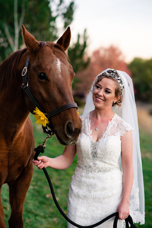 wedding with horses - littleton wedding photographers - bride and horse